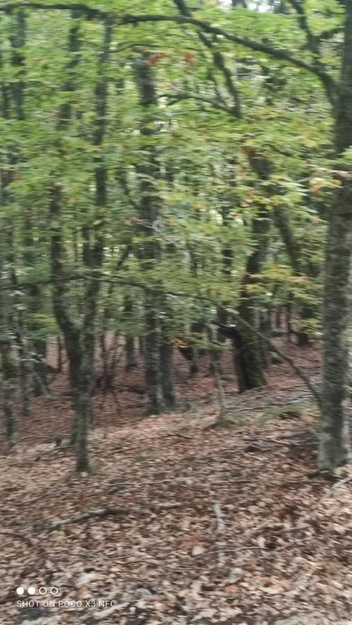 Montes De Lillo --Vut Le 625 Lägenhet Puebla de Lillo Exteriör bild